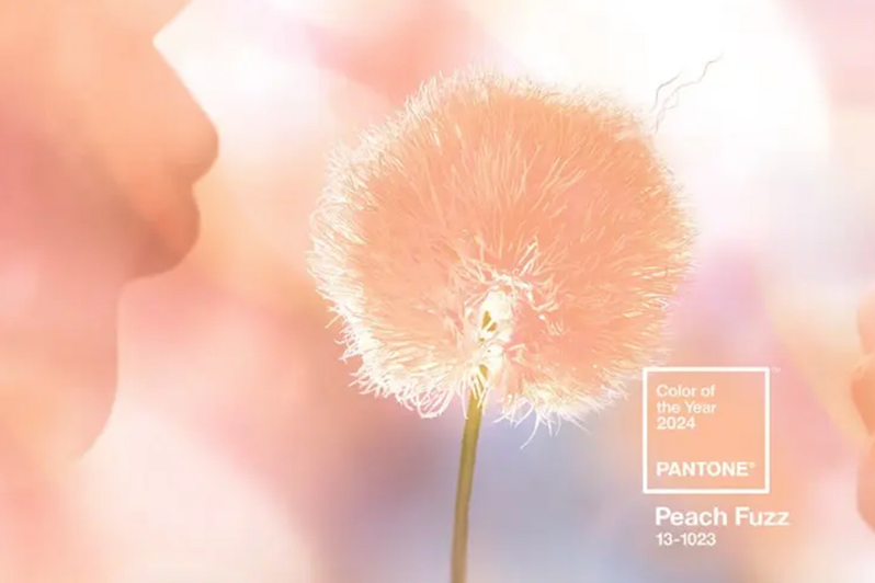 Pantone 2024年度顏色：新的一年，新的趨勢